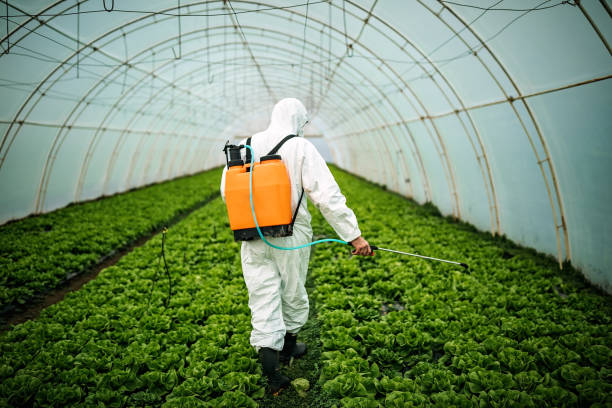 Best Local Pest Control Services  in Rothsville, PA