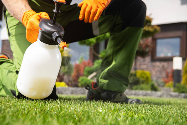 Best Residential Pest Control  in Rothsville, PA