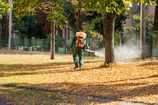 Best Bed Bug Extermination  in Rothsville, PA