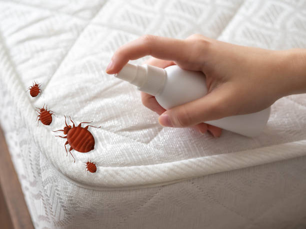 Best Mosquito Control Services  in Rothsville, PA