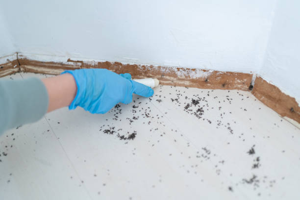 Best Best Pest Control Companies  in Rothsville, PA